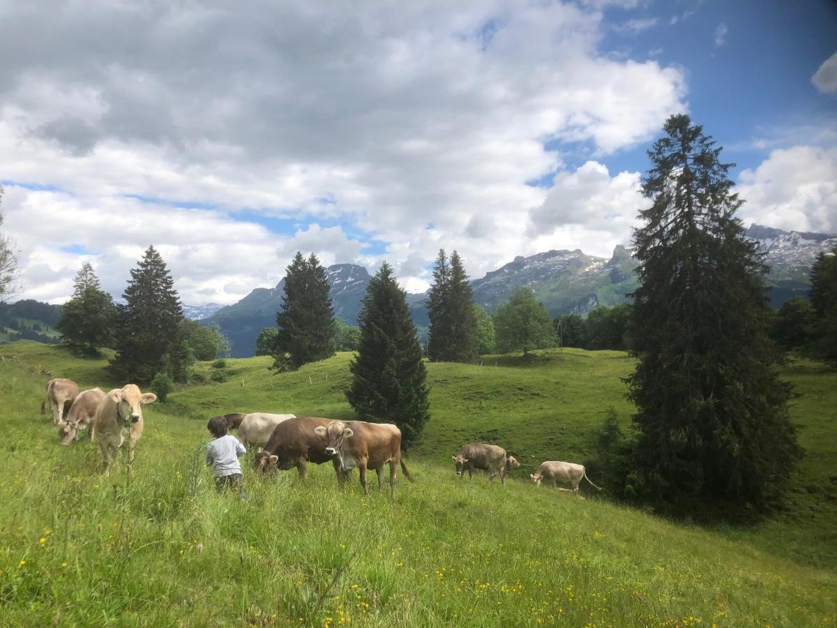 Ferienwohnungen Mit 4 Betten In Gersau Direkt Am Vierwaldstaettersee Екстериор снимка